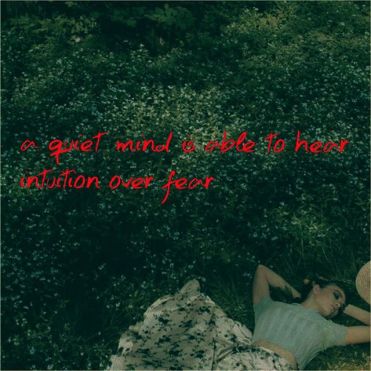 17076081_294165587670549_185969073144725504_n