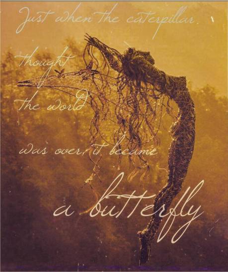 17125401_227881674346876_5031702256261529600_n(1)