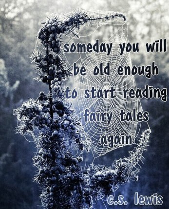 17333887_1653421611621416_4067758041368363008_n(1)