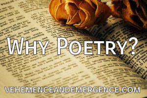 Poetry, rhythm, senses, expression, dance, energy, transcendence, book, dried flowers, blog, poet, writer, author, holistic