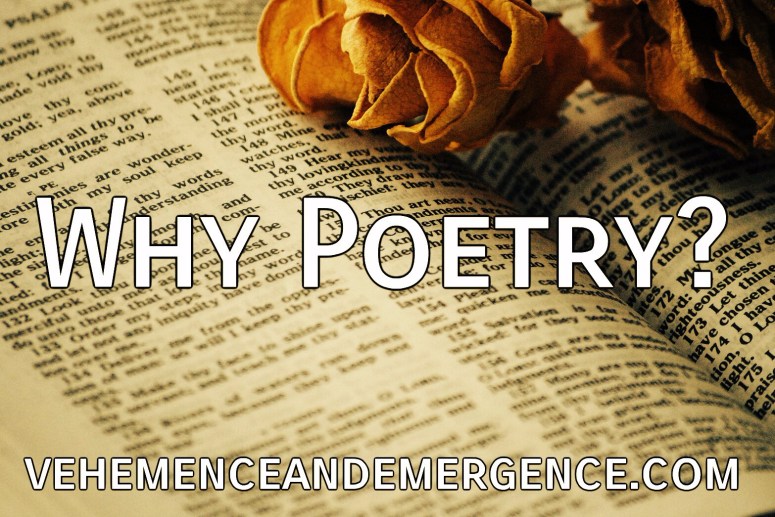 Poetry, rhythm, senses, expression, dance, energy, transcendence, book, dried flowers, blog, poet, writer, author, holistic