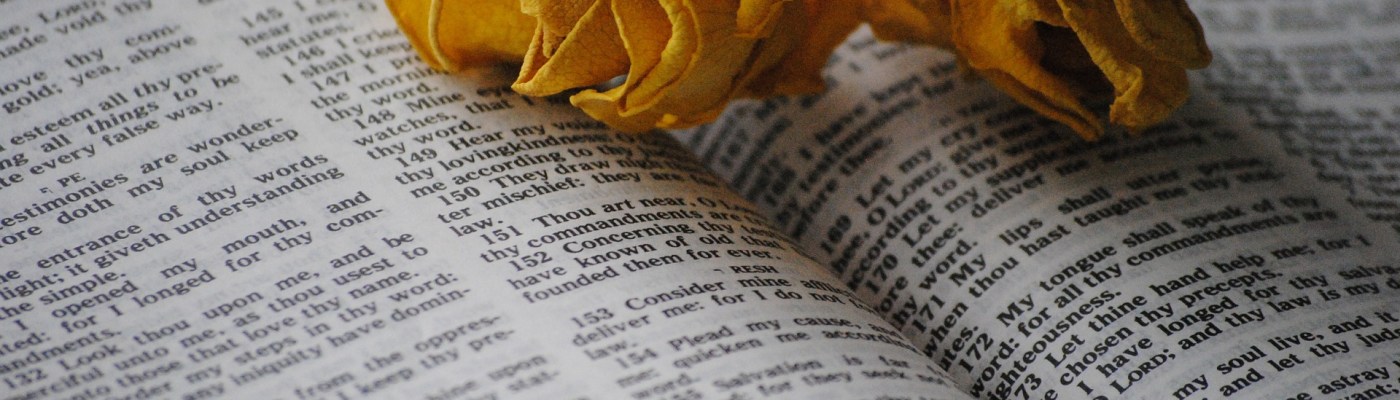 Poetry, rhythm, senses, expression, dance, energy, transcendence, book, dried flowers, blog, poet, writer, author, holistic