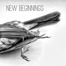 Death of a bird signifies new beginnings