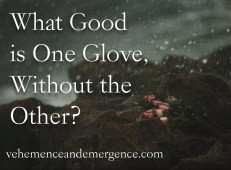 roses, seaside, sea spray, love, relationships, self-love, lyrics, whole, complete, feelings, romance