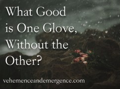 roses, seaside, sea spray, love, relationships, self-love, lyrics, whole, complete, feelings, romance