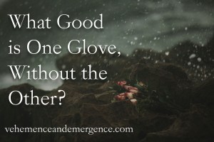 Fotor_149641561757212