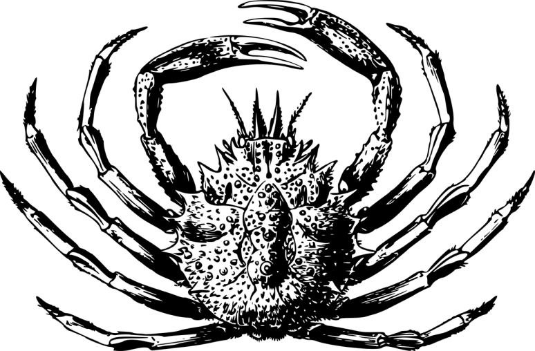 Altarwise by Owl-Light by Dylan Thomas Vehemence and Emergence Poetic Therapy