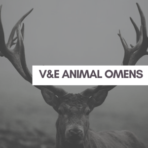 20181008_100656_0001