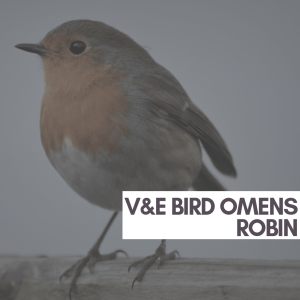 20181008_102010_0001