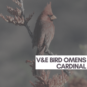 20181008_102332_0001