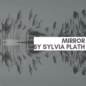 20181008_131110_0001