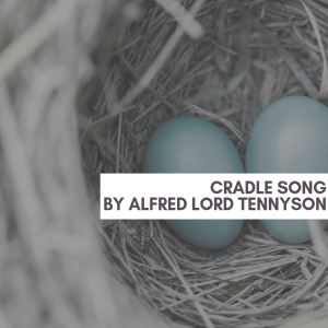 20181008_132444_0001