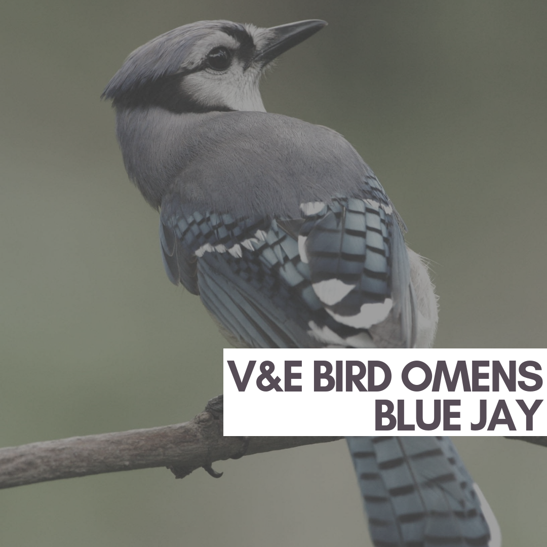 20181008_102601_0001