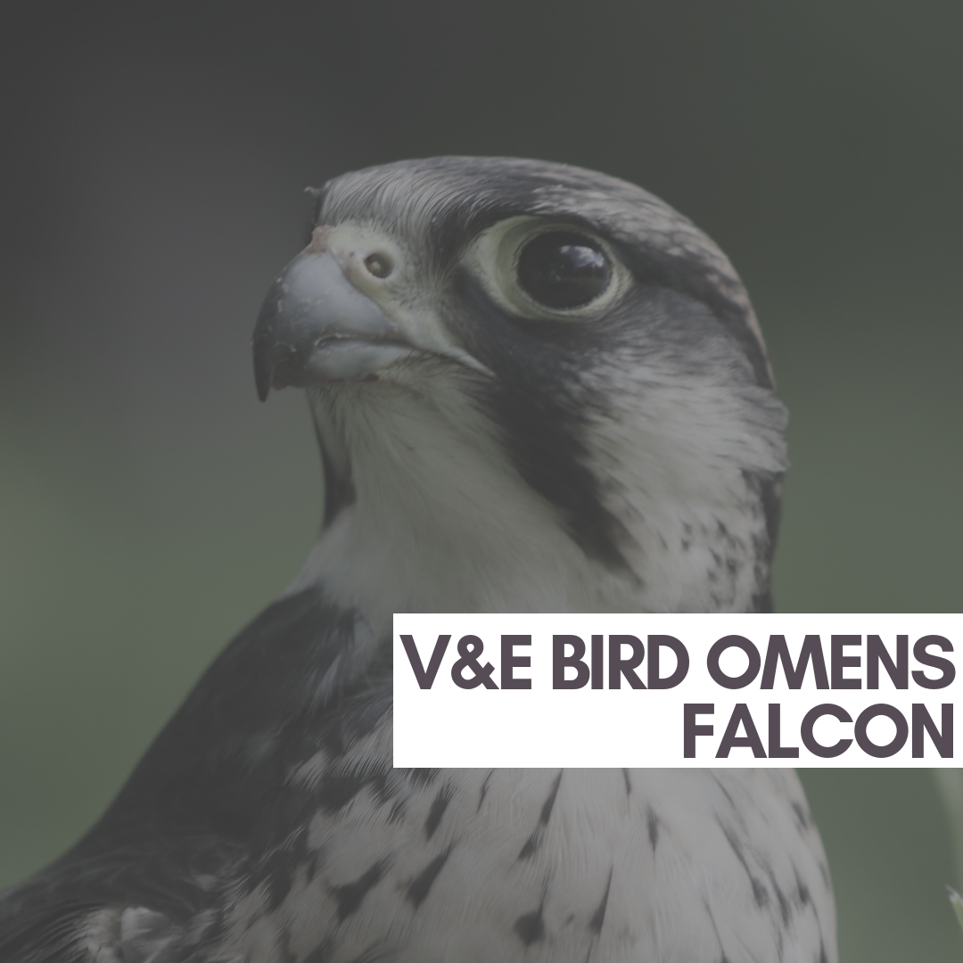 20181008_104809_0001