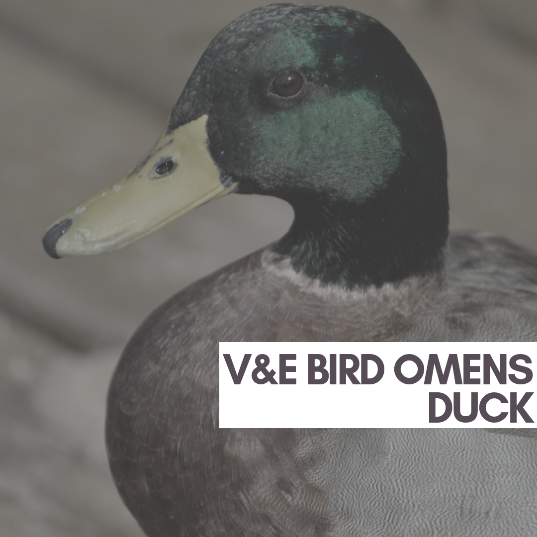 20181008_110026_0001