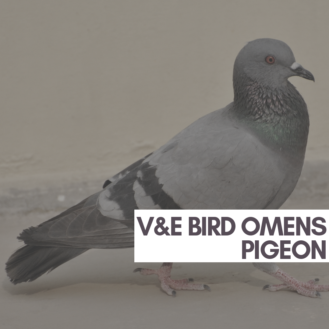 20181008_110438_0001