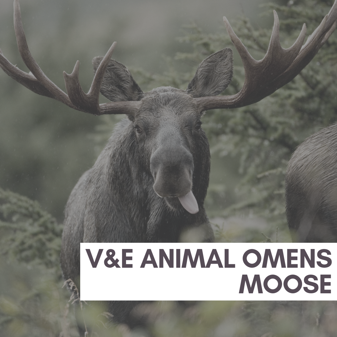 20181008_112954_0001